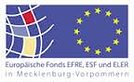 ESF-MV-Logo 4