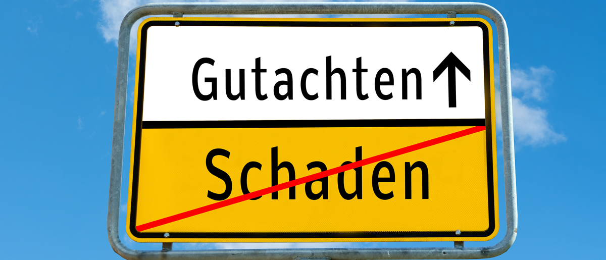 Gutachten_T