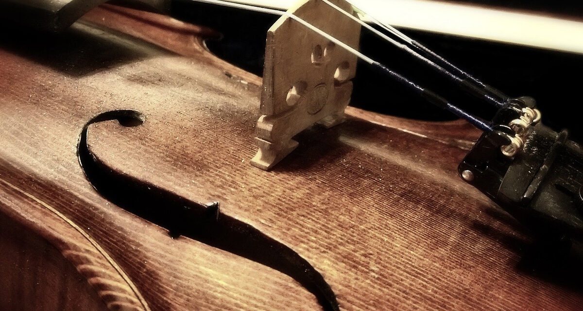 Violine-T