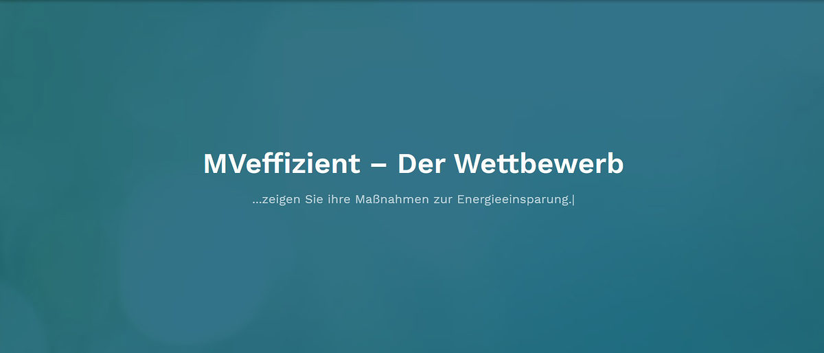 MVeffizient