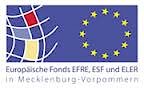 ESF-MV-Logo 4